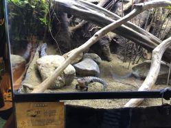 -酷嗒动物文化乐园(cutezoo西溪乐天城店)