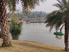 -枫香湖儿童公园