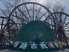 -呀路古热带植物园