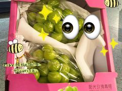 -砂之船奥特莱斯(合肥店)