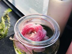 -北马山庄植趣咖啡