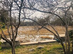 -郑东新区湿地公园