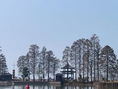 -东湖落雁景区