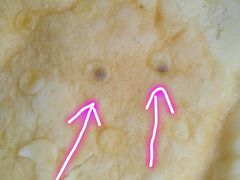 -老六杀猪菜(进乡街店)