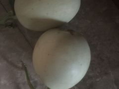 -七宝蔬菜农副产品综合交易市场-停车场