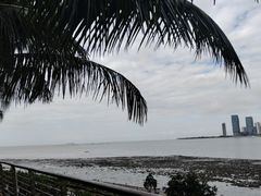 -万绿园