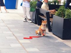 -古茗(江北万达金街店)