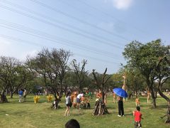 -长洲岛都市农业公园