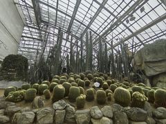 -南山植物园