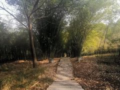 -潜山国家森林公园