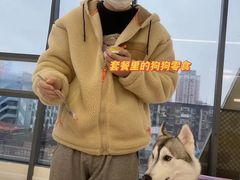 -怪兽屋·羊驼·猫咖·狗咖(俊华广场店)