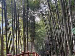 -藏龙百瀑风景区