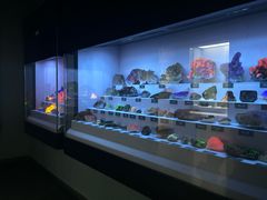 -湖南省地质博物馆