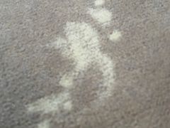 -苏州独墅湖书香世家酒店