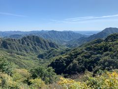 -大岭沟猕猴桃谷风景区