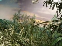-中国湿地博物馆