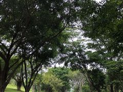 -东莞植物园