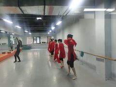 -舞蕾舞蹈(特长生校区)