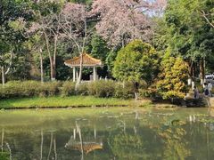 -火炉山森林公园
