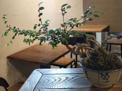 -成川茶店·潮汕工夫浓茶(万象店)