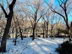 -元大都城垣遗址公园