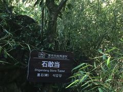 -东天目山风景区