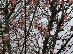 -蜀冈西峰生态公园