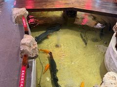 -好灶头妈妈菜·柴火灶台鱼·千岛湖土菜地标美食