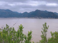 -北岐滩涂