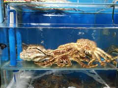 -蚝专家(北滘店)