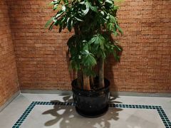 -浅深Cheersum(曹杨店)