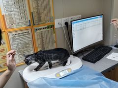 -创凡宠物医院·骨专科  猫科中心(西乡分院)