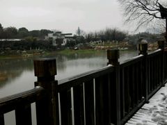 -八大山人梅湖景区