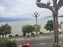 -野菌皇海景野生菌火锅(滨海大道店)