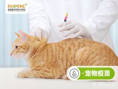 -瑞鹏宠物医院华南总院·夜诊·心脏科·骨科