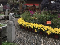 -天怡·鱼工厂(临江店)