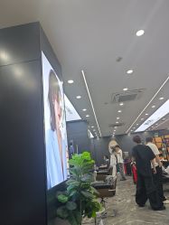 -藤野造型烫染