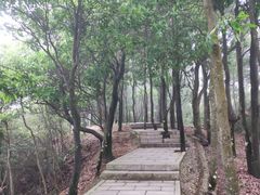 -阳台山森林公园