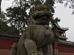 -磬锤峰森林公园