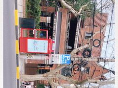 -Boxing Cat Brewery拳击猫精酿啤酒馆(永福店)