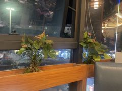 -粤点越有·茶点·粤菜(樵岭国际店)