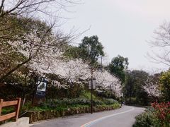 -杭州半山国家森林公园