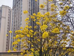 -府河摄影公园