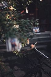 -美薇亭婚礼顾问