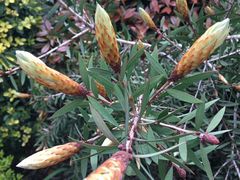 -杭州城北体育公园