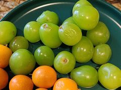 -慢丽江·云南野生菌土鸡锅(付家庄店)