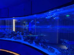 -上和臻品中国菜(花园街店)