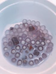 -安利上海体验馆