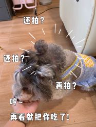 -Adore nail日式美甲美睫