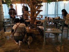 大堂-共舞时光猫咖·狗咖(新街口店)
